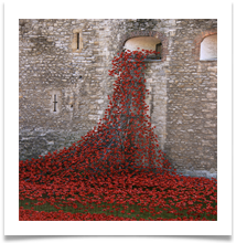 4 One Hundred Years - Anne Tidswell
